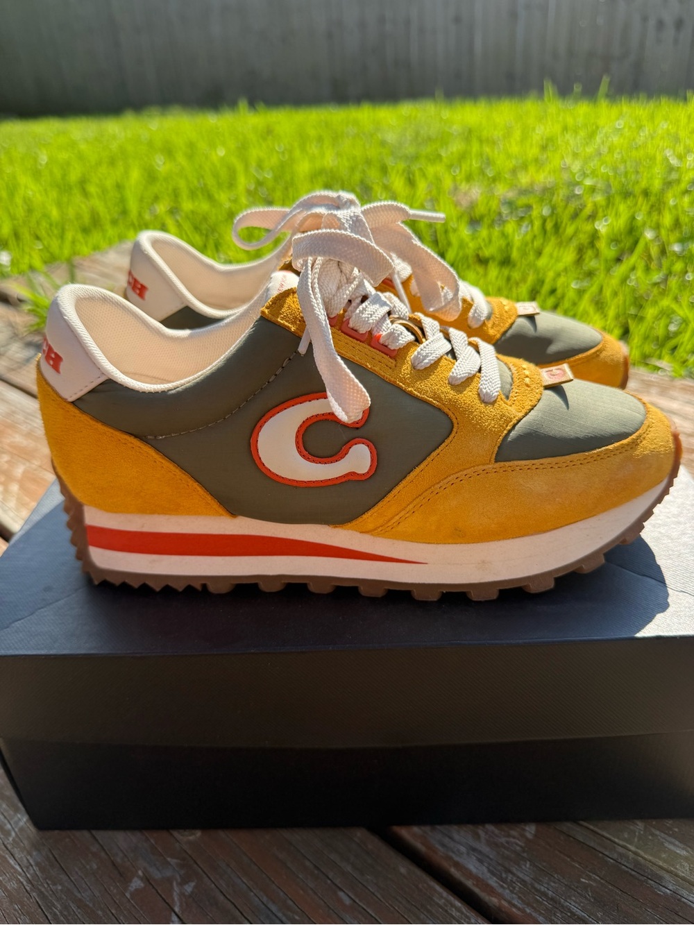 Coach Runner Sneaker in Women’s